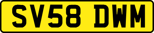 SV58DWM