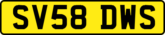 SV58DWS