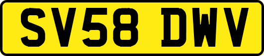 SV58DWV