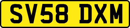 SV58DXM