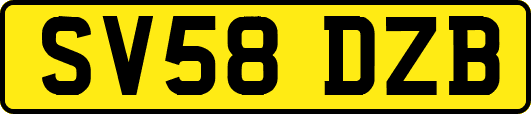 SV58DZB