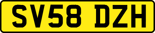 SV58DZH