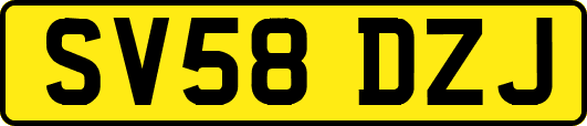 SV58DZJ