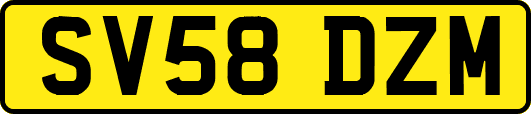 SV58DZM