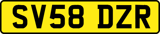 SV58DZR