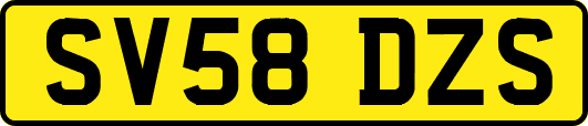 SV58DZS