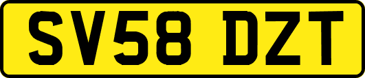 SV58DZT