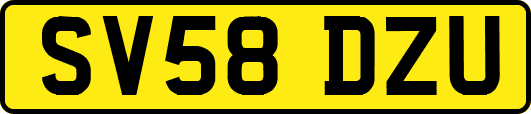 SV58DZU