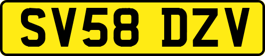 SV58DZV