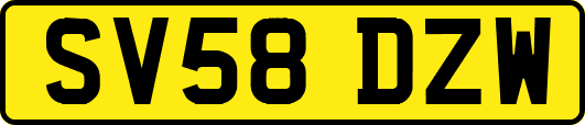 SV58DZW