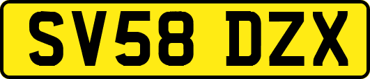 SV58DZX