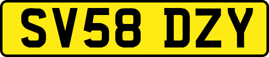 SV58DZY