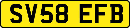 SV58EFB