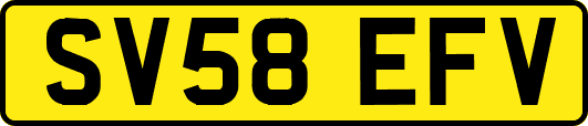 SV58EFV