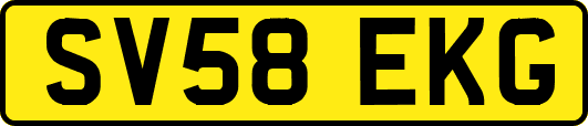 SV58EKG