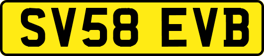 SV58EVB