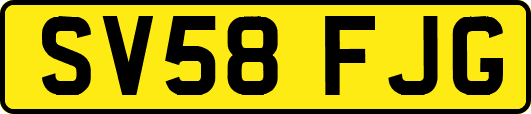 SV58FJG
