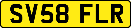 SV58FLR