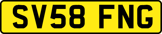 SV58FNG