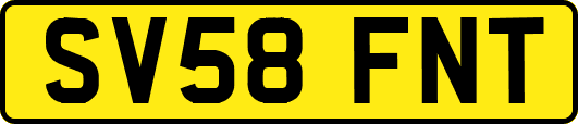 SV58FNT
