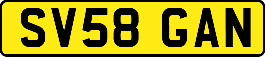 SV58GAN