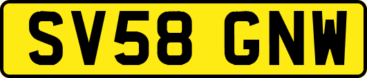 SV58GNW