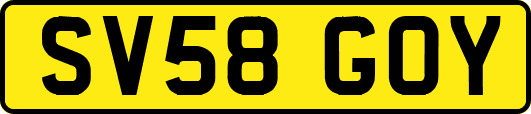 SV58GOY