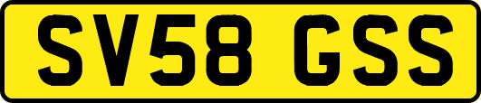 SV58GSS
