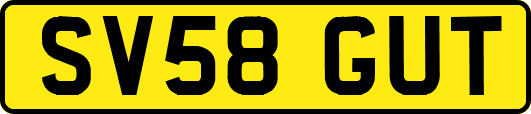 SV58GUT