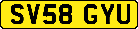 SV58GYU