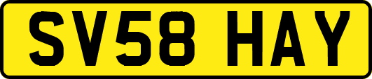 SV58HAY
