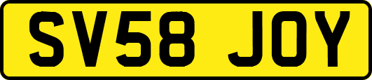SV58JOY