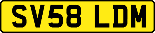 SV58LDM
