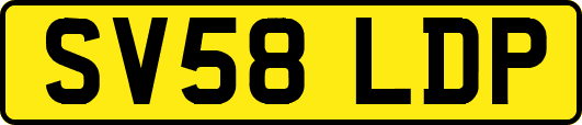 SV58LDP