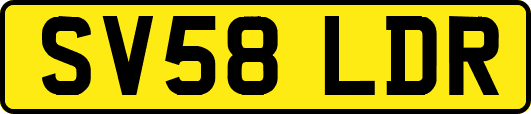 SV58LDR