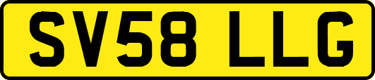 SV58LLG
