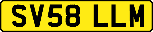 SV58LLM