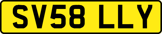 SV58LLY