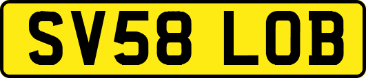 SV58LOB