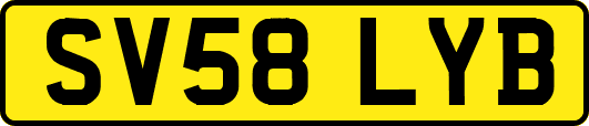 SV58LYB