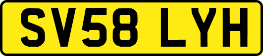 SV58LYH