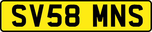 SV58MNS
