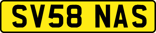 SV58NAS