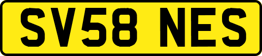 SV58NES