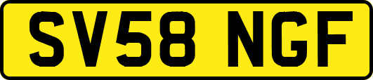 SV58NGF