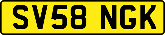 SV58NGK