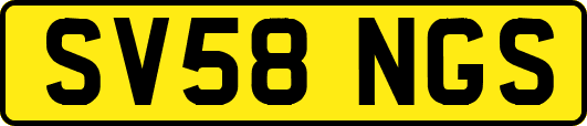 SV58NGS