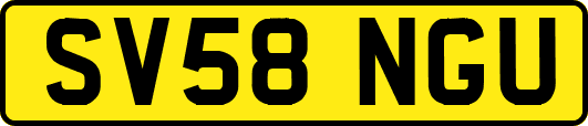 SV58NGU