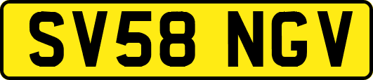 SV58NGV