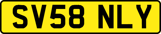 SV58NLY